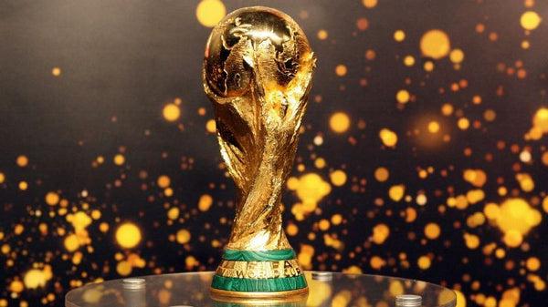 World Cup tickets to cost $105 - $1100