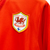 Cardiff City 2013-14 Bellamy Home Kit (L)