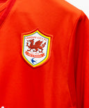 Cardiff City 2013-14 Bellamy Home Kit (L)