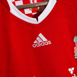Liverpool 2008-10 Torres Home Kit (L)