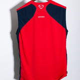 Arsenal 2006-07 Sleeveless Training Kit (L)