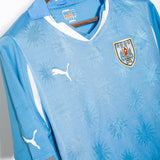Uruguay 2010 Home Kit (M)