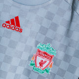 Liverpool 2008-09 Torres Away Kit (L)