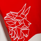 FC Kaiserslautern Training Top (L)