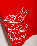 FC Kaiserslautern Training Top (L)
