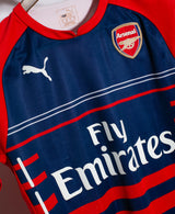 Arsenal 2014-15 Training Kit (M)