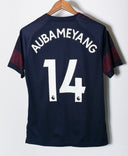 Arsenal 2018-19 Aubameyang Away Kit (M)