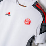 Bayern Munich 2021-22 Training Top (L)