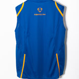 Barcelona 2006-07 Sleeveless Training Kit (L)