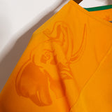 Ivory Coast 2010 Drogba Home Kit (L)