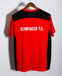 Olympiacos 2012 Training Tee (L)