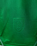 Saint-Etienne 2009-10 Gelson Home Kit (M)