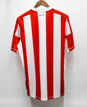 Stoke City 2012-13 Home Kit (L)