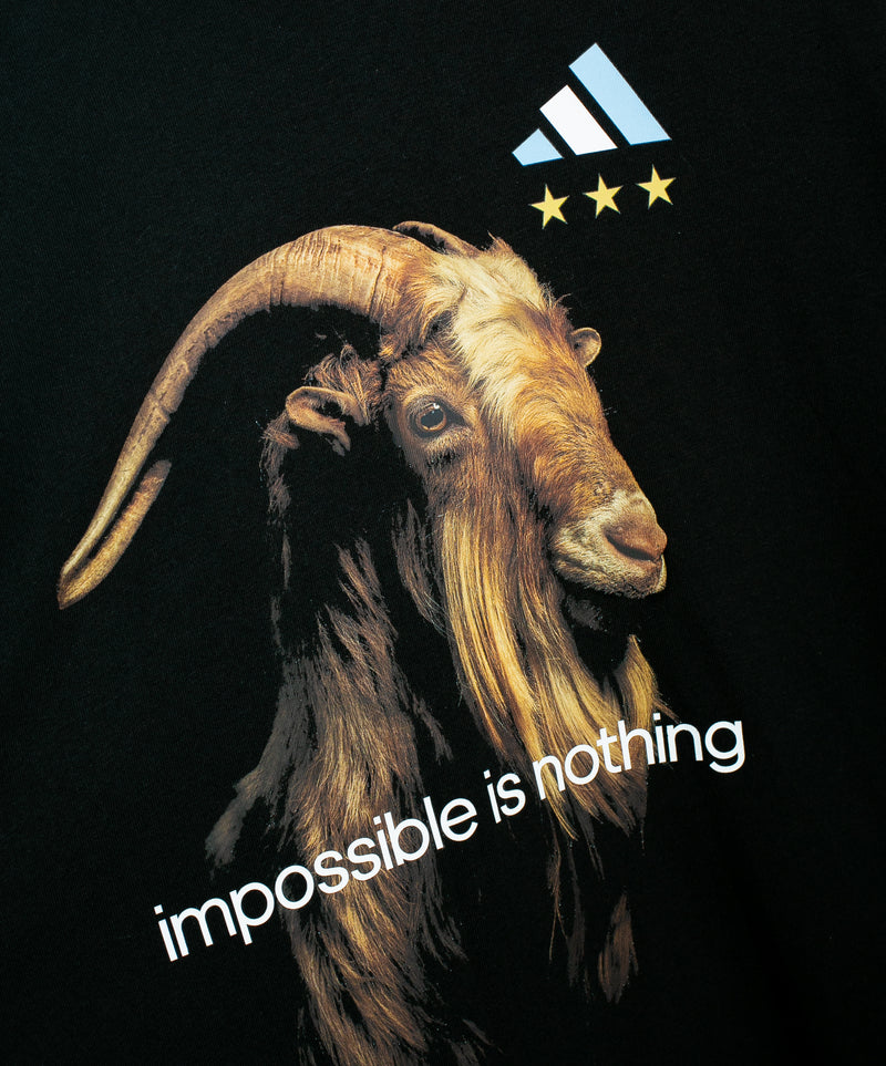 Argentina 2022 Messi Goat Tee NWT (XL)