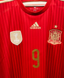 Spain 2014 Torres Home Kit (XL)