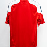 Denmark 2012 Home Kit (M)