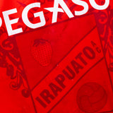 Irapuato AC 2001-02 Home Kit (XL)