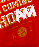 Bayern Munchen 2013 Tee (M)