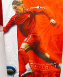 Fernando Torres Bootleg Merch (M)