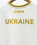 Ukraine Sleeveless Training Kit (XL)