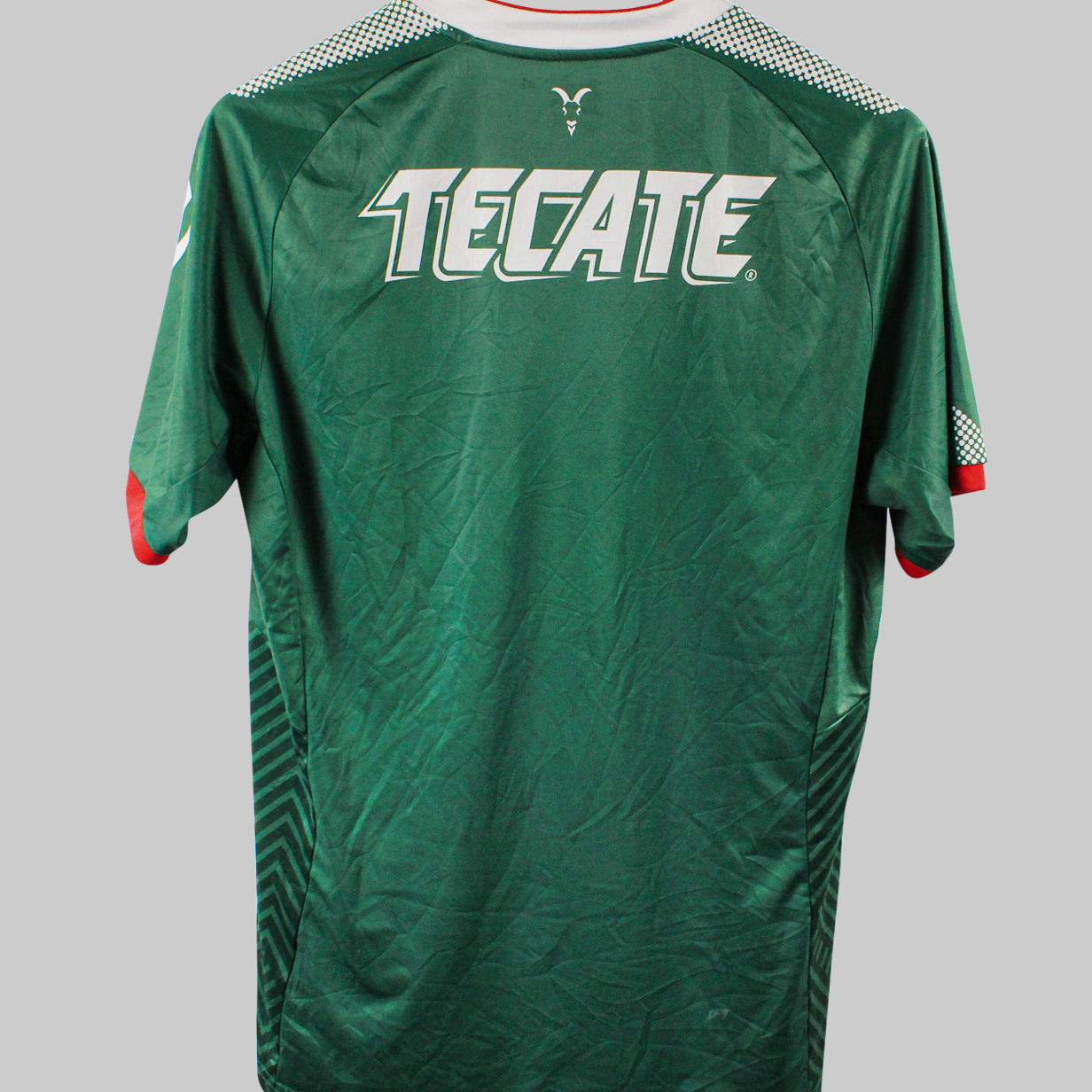 Chivas de Guadalajara 2017-18 Third Kit (L)