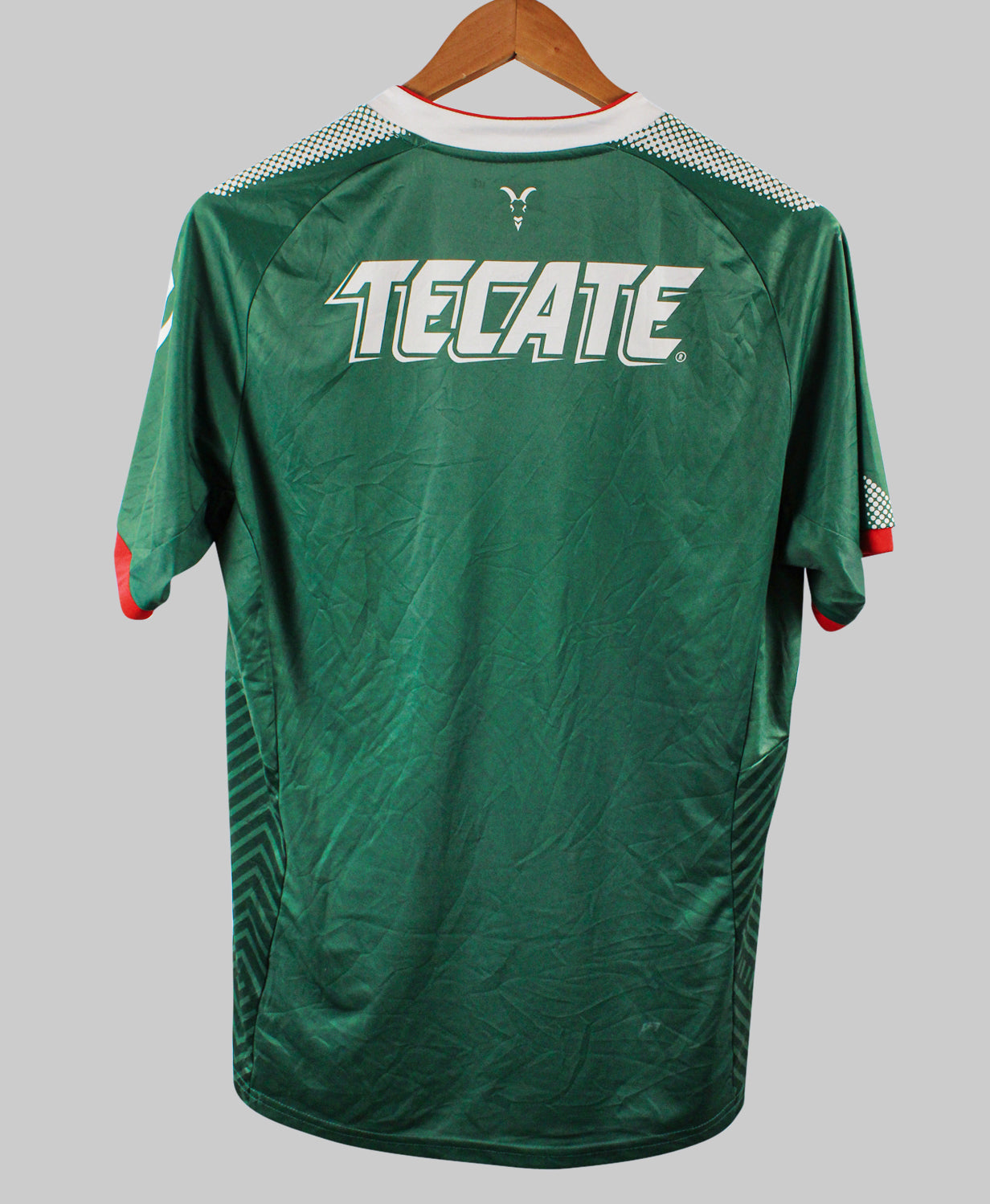 Chivas de Guadalajara 2017-18 Third Kit (L)