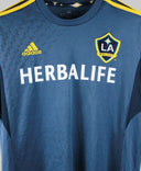 LA Galaxy 2013-14  Away Kit (L)