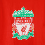 Liverpool   T-Shirt Kit (L)