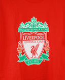 Liverpool   T-Shirt Kit (L)