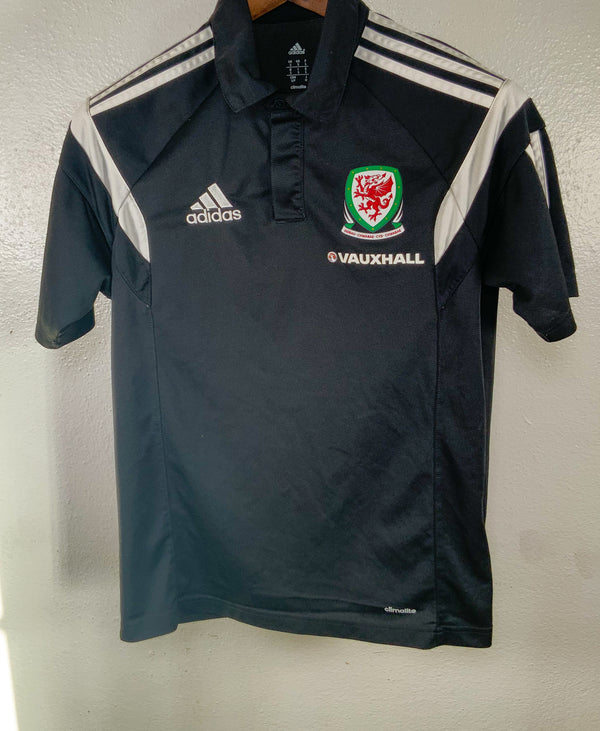 Wales 2014 Polo Shirt (S)