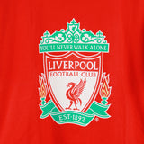 Liverpool   T-Shirt Kit (L)