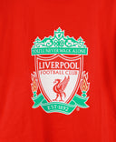 Liverpool   T-Shirt Kit (L)