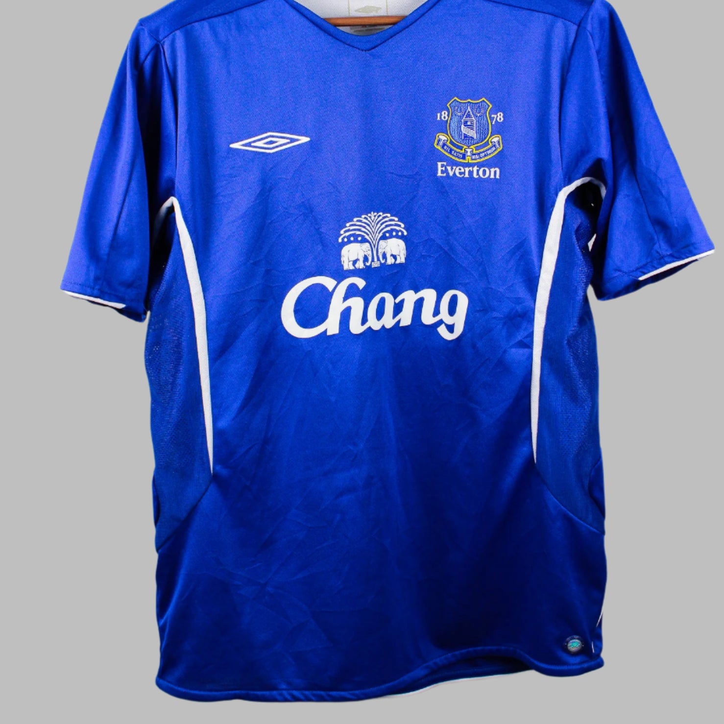 Everton 2005-06 Mcfadden Home Kit (L)