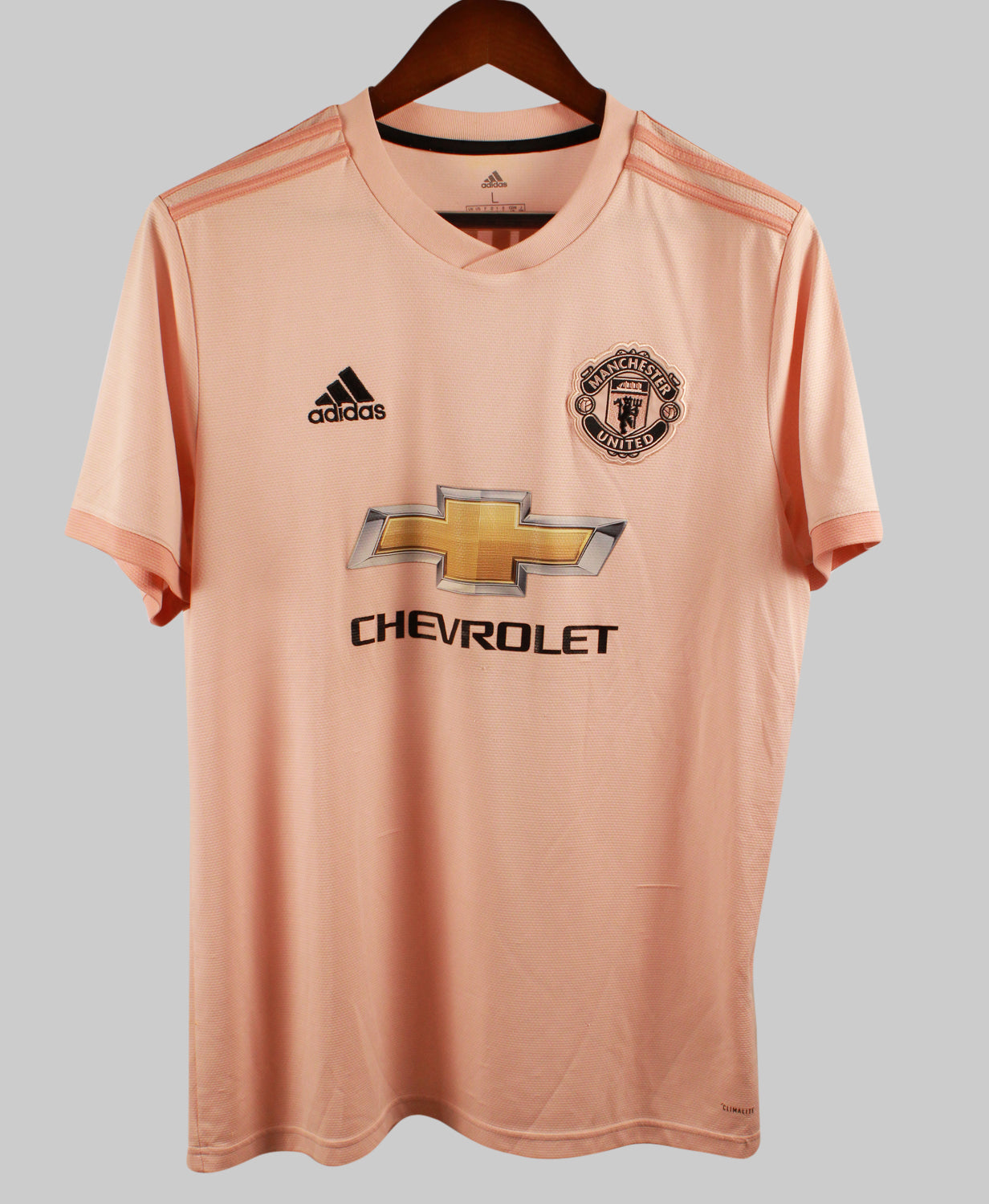 Manchester United 2018-19 Pogba Away Kit   (L)