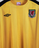 Wales 2010-11  GK Kit   (L)