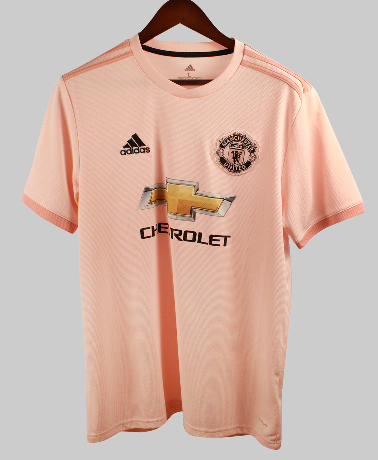 Manchester United 2018-19 Away Kit (L)