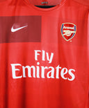 Arsenal 2008-09  Training Kit  (L)