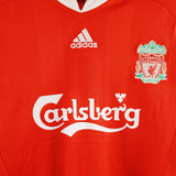 Liverpool 2008-09 Torres Home Kit  (L)