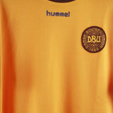 Denmark 2000-01  Training Kit  (M)
