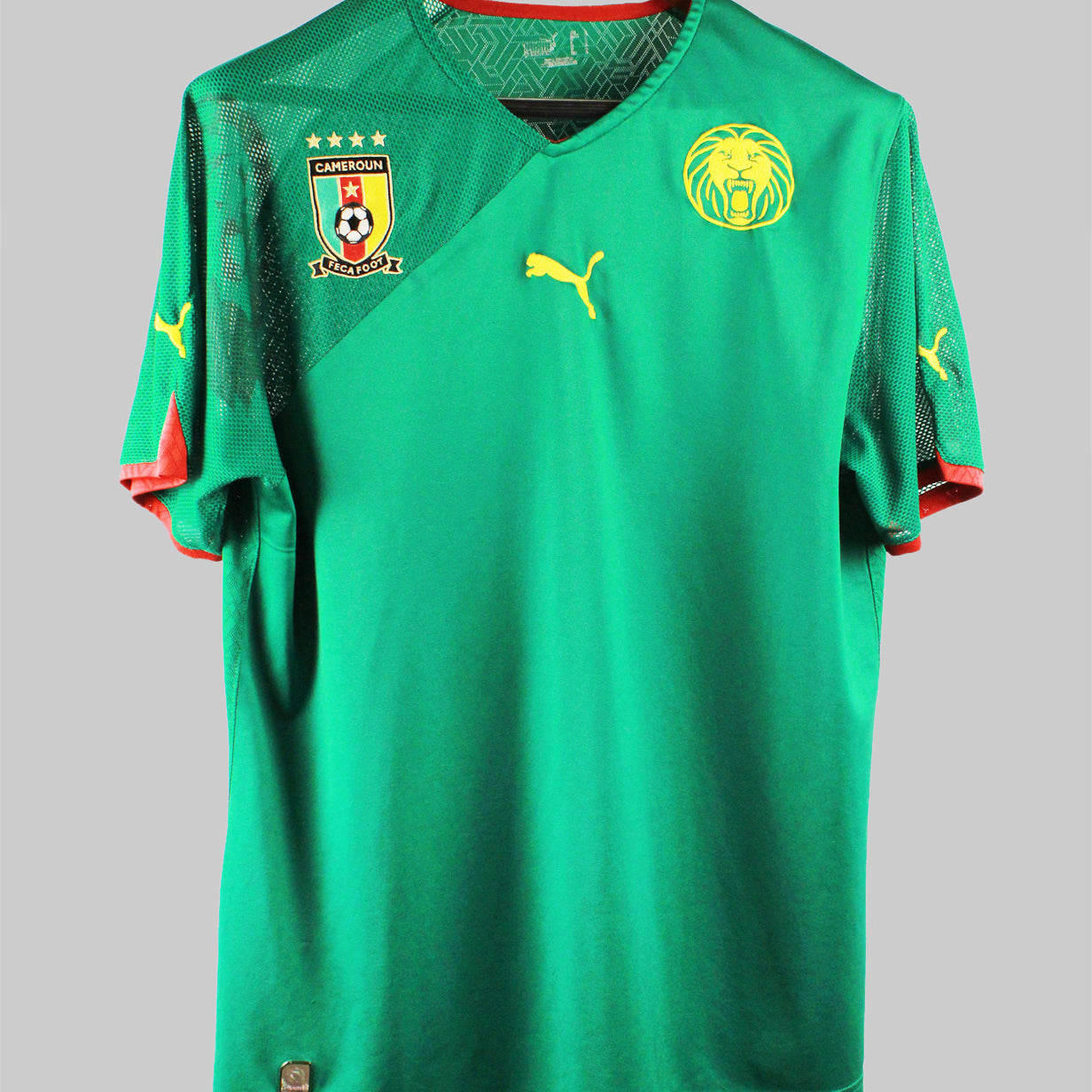 Cameroon 2010 Home Kit (L)