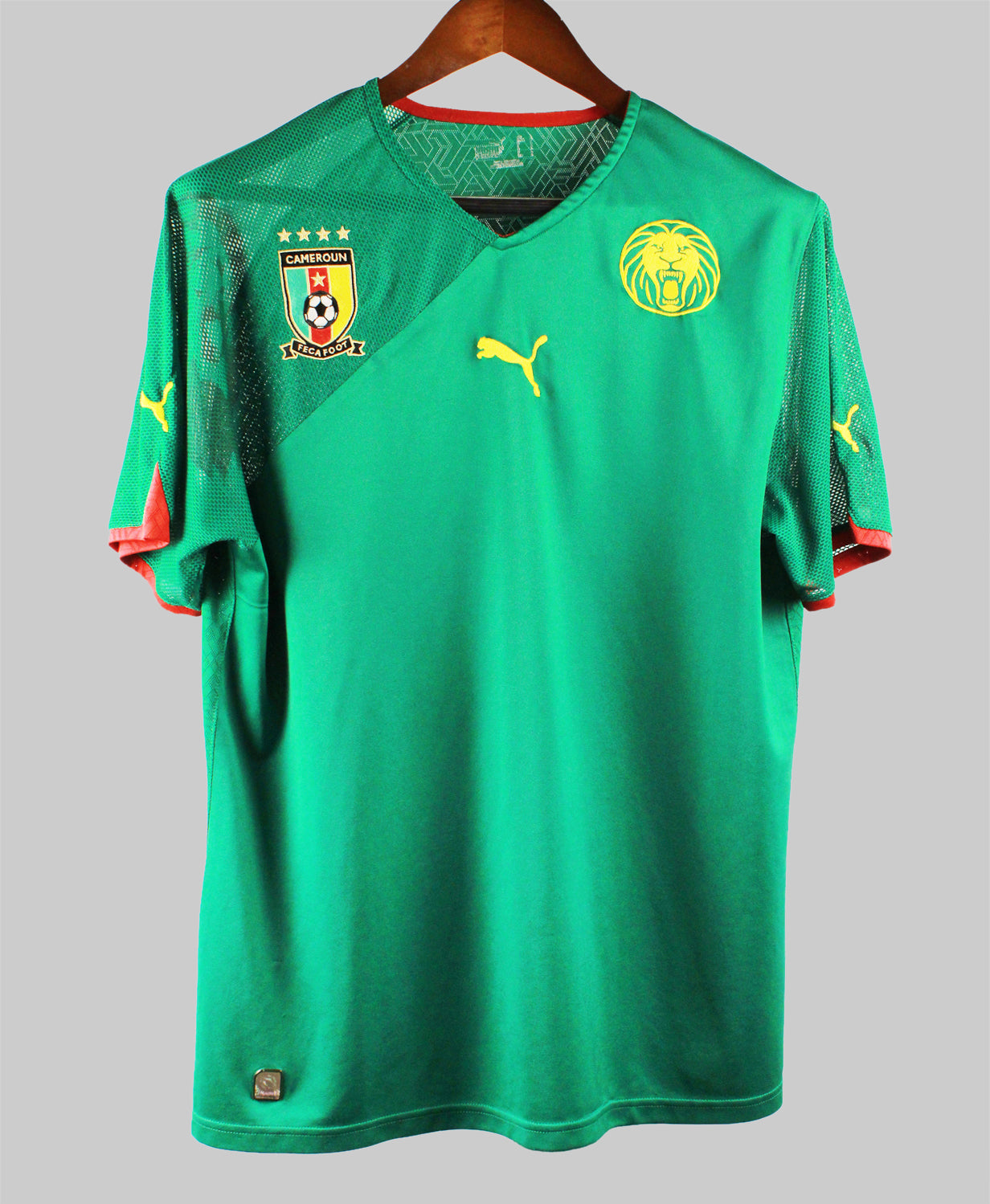 Cameroon 2010 Home Kit (L)