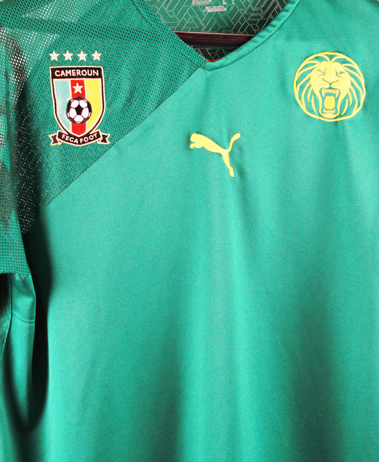 Cameroon 2010 Home Kit (L)