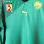 Cameroon 2010 Home Kit (L)