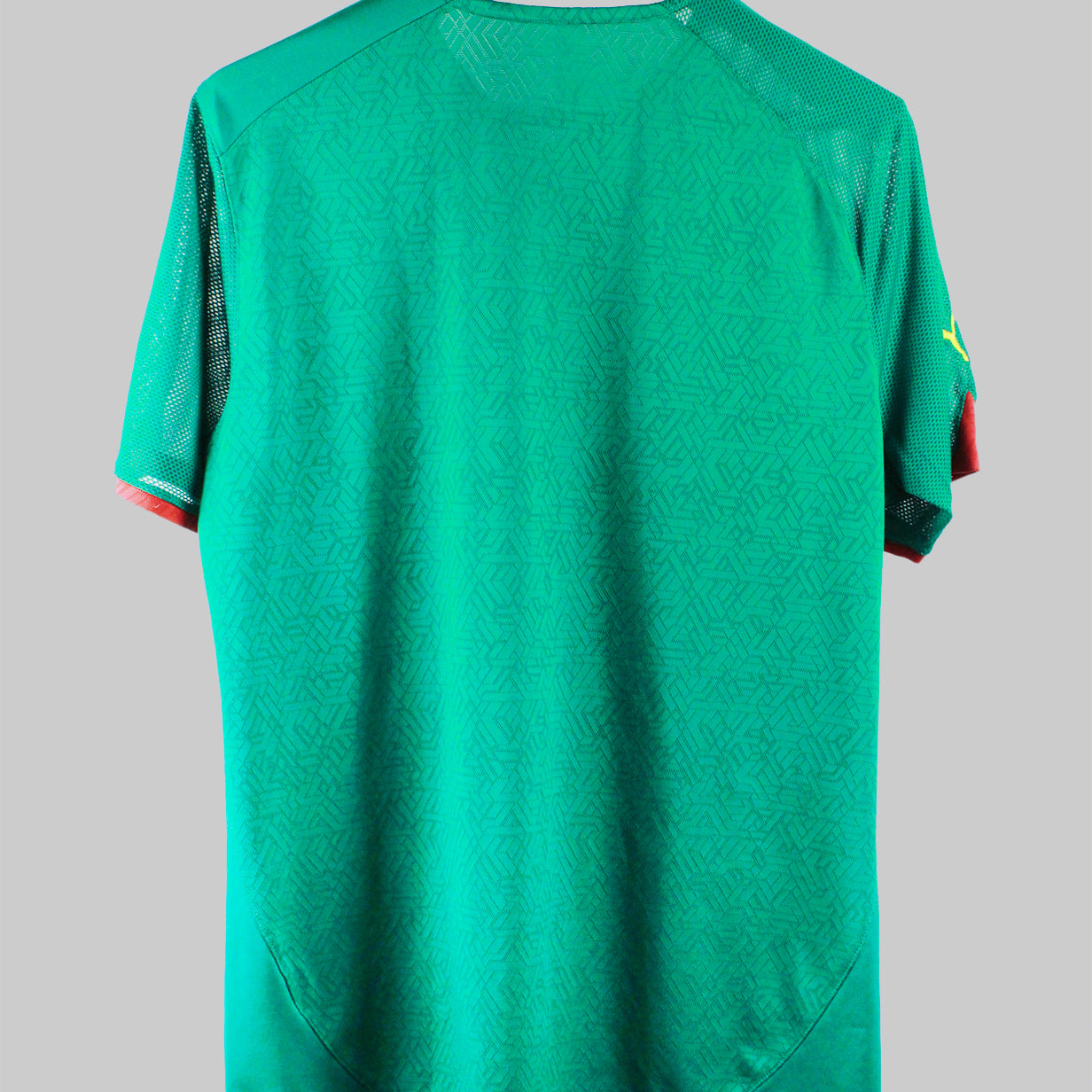 Cameroon 2010 Home Kit (L)