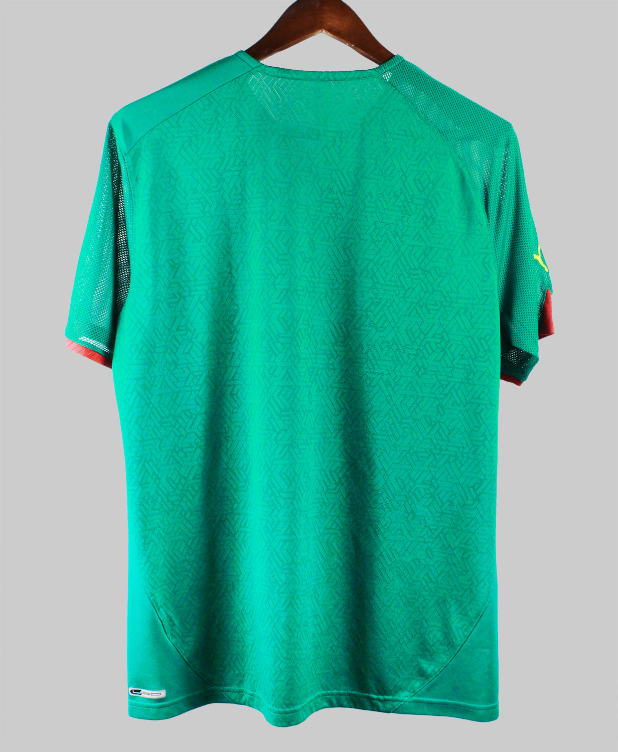 Cameroon 2010 Home Kit (L)