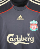 Liverpool 2009-10 Torres Away Kit (L)
