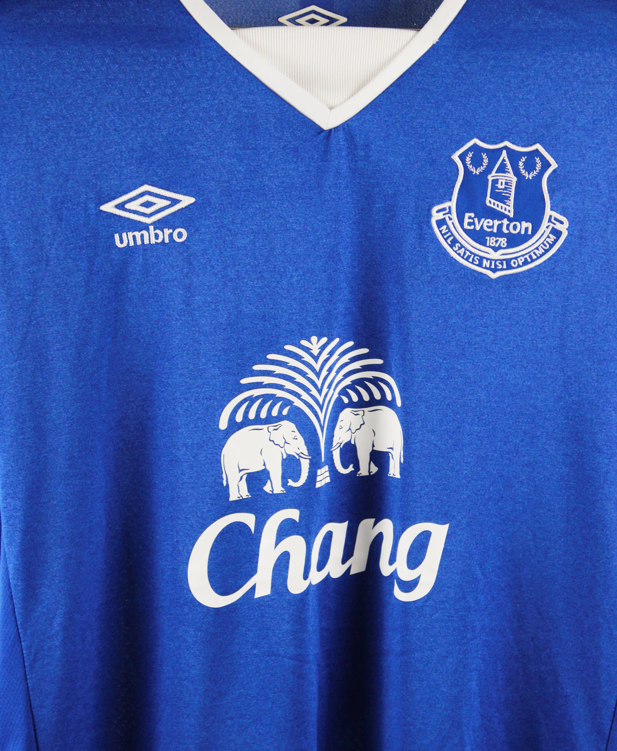 Everton 2015-16 Jagielka Home Kit (L)