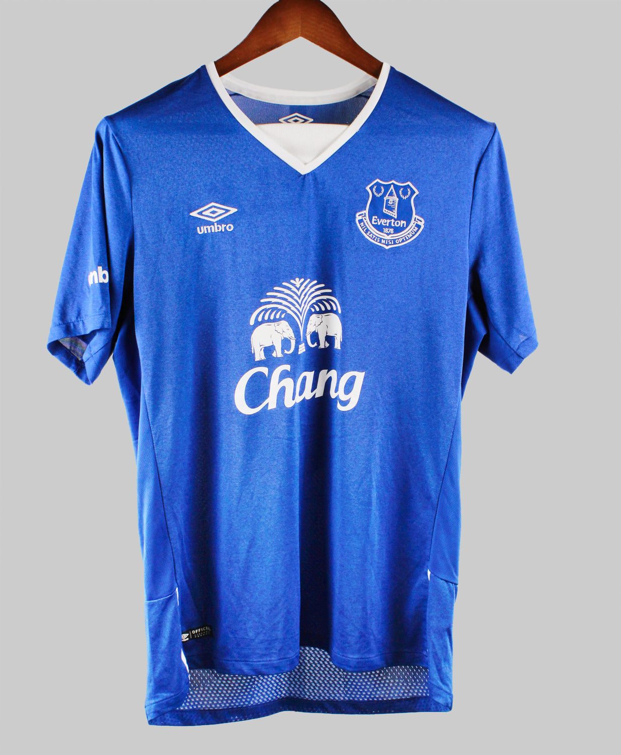 Everton 2015-16 Jagielka Home Kit (L)