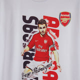 Arsenal Cesc Fabregas T-Shirt Kit (S)