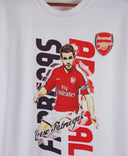 Arsenal Cesc Fabregas T-Shirt Kit (S)